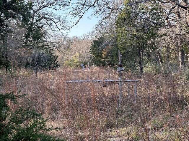 5ACRES County Road 462, Somerville, TX 77879 - photo 8