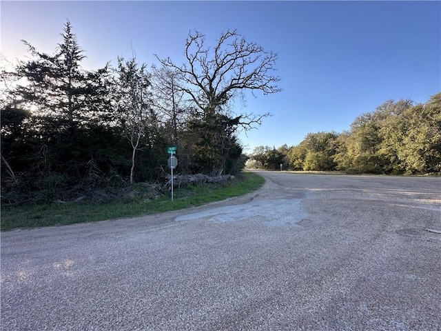 5ACRES County Road 462, Somerville, TX 77879 - photo 9