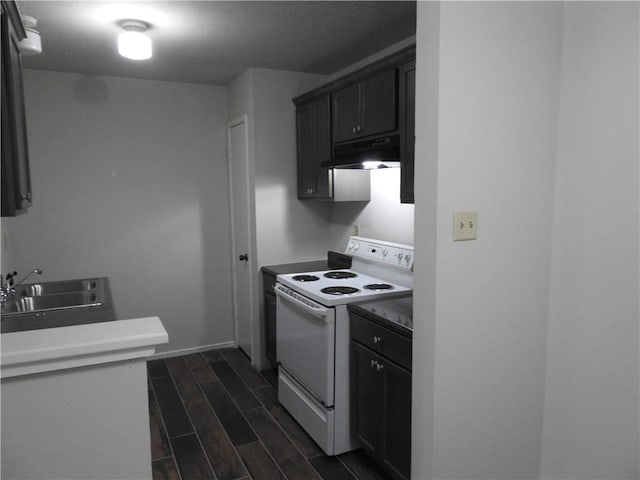 1107 Verde Dr Unit 60, Bryan, TX 77801 - kitchen featuring white electric stove, a sink, under cabinet range hood, wood finish floors, and baseboards