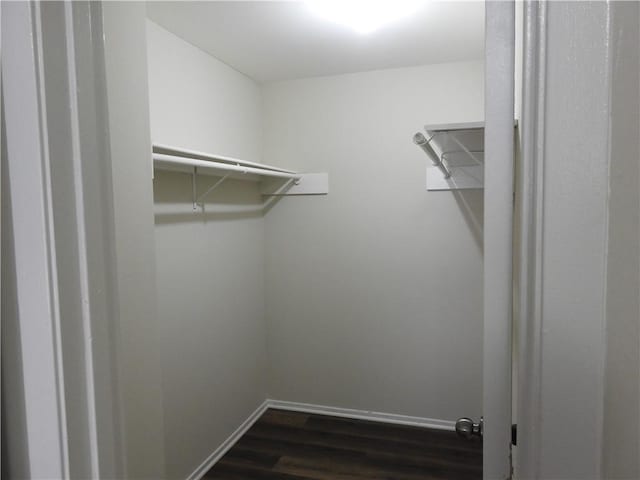 1107 Verde Dr Unit 60, Bryan, TX 77801 - walk in closet featuring dark wood-style floors
