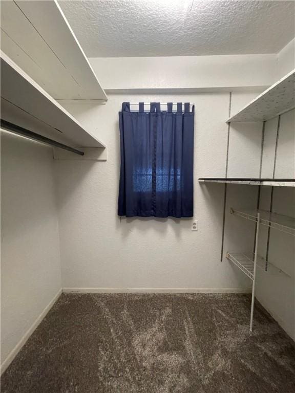 6268 Fm 2269, Cameron, TX 76518 - spacious closet featuring carpet floors