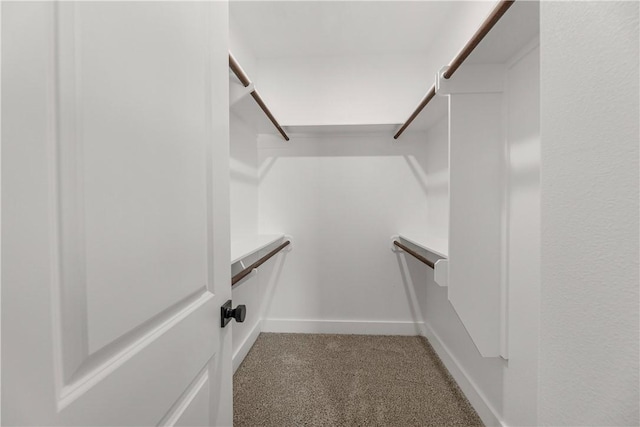 walk in closet featuring carpet floors