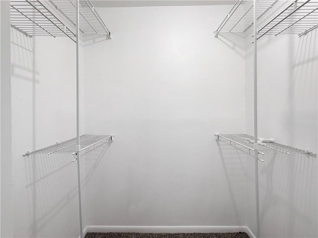 3234 Red Robin Loop, Bryan, TX 77802 - view of spacious closet