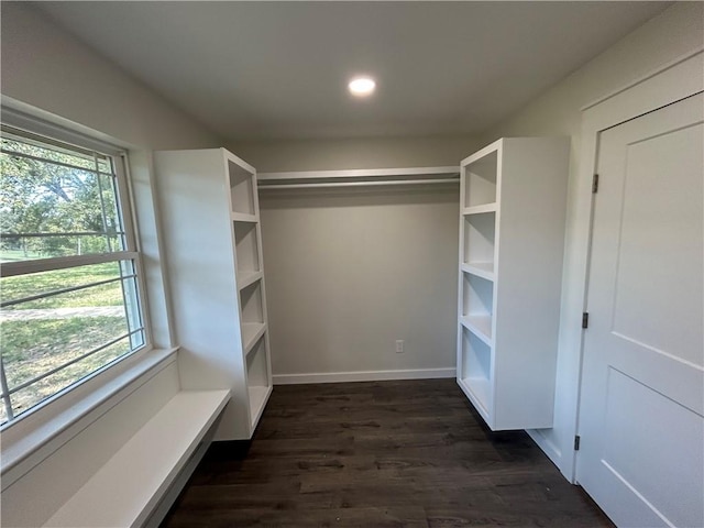 spacious closet with dark hardwood / wood-style flooring