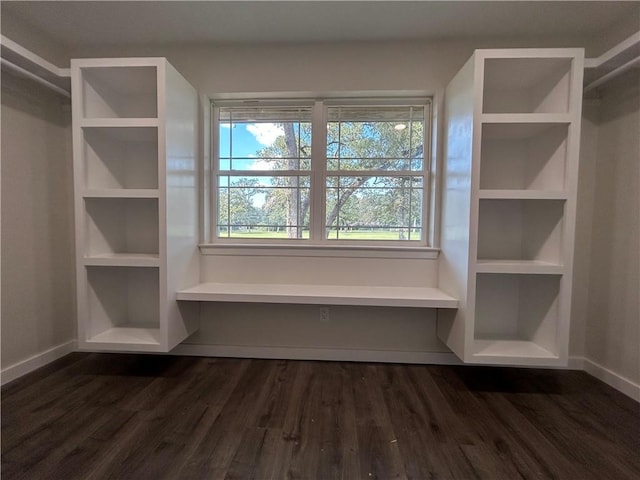 walk in closet with dark hardwood / wood-style flooring