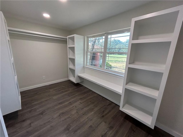 walk in closet with dark hardwood / wood-style floors