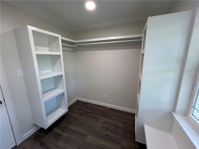 walk in closet with dark hardwood / wood-style flooring