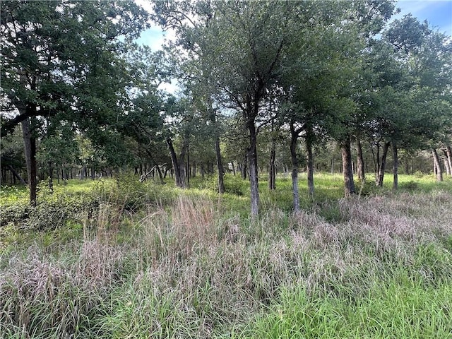 517 Deer Run Trl, Somerville, TX 77879 - photo 4