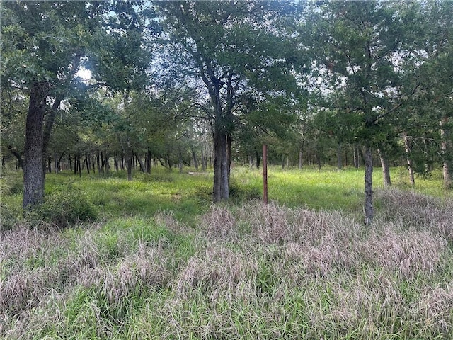 517 Deer Run Trl, Somerville, TX 77879 - photo 3