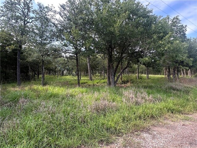 517 Deer Run Trl, Somerville, TX 77879 - photo 1