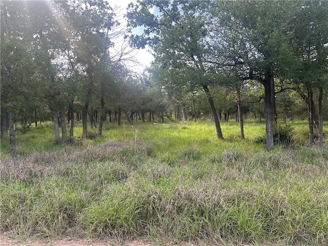 517 Deer Run Trl, Somerville, TX 77879 - photo 6