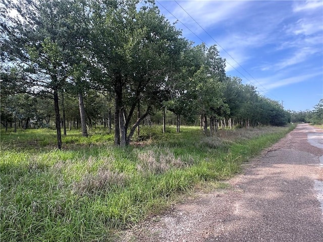 517 Deer Run Trl, Somerville, TX 77879 - photo 2