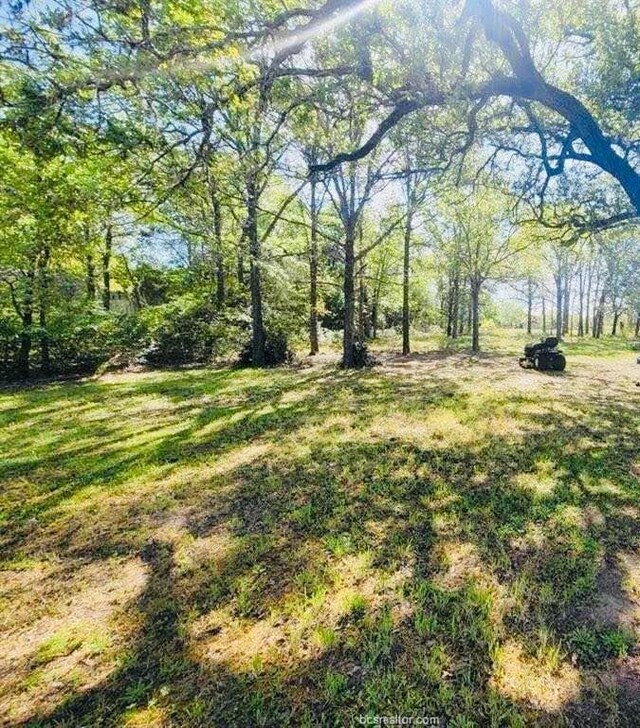 1601 Silver Ore Rd, Somerville, TX 77879 - photo 4