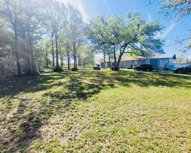 1601 Silver Ore Rd, Somerville, TX 77879 - photo 5