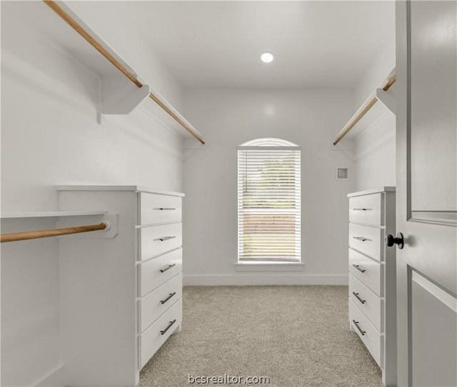 spacious closet featuring light carpet