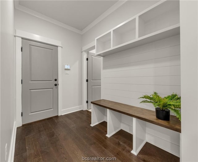 mudroom featuring dark hardwood / wood-style flooring and crown molding