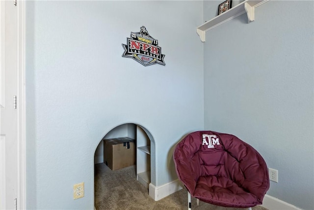 sitting room featuring baseboards and carpet flooring