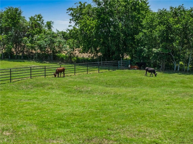 1725 Stokes Rd, New Ulm, TX 78950 - photo 5