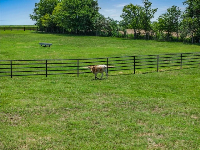 1725 Stokes Rd, New Ulm, TX 78950 - photo 4