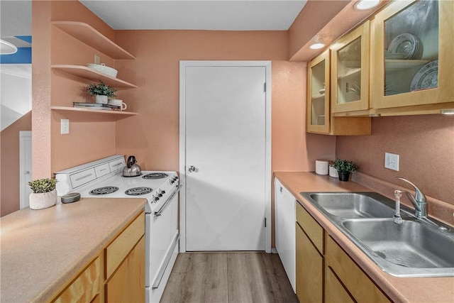 kitchen featuring white appliances, sink, and light hardwood / wood-style flooring