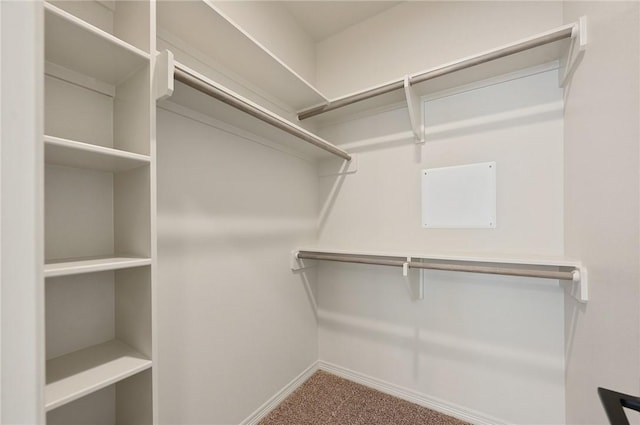 walk in closet with carpet