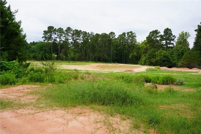 4845 Long Shadows Rd, Navasota, TX 77868