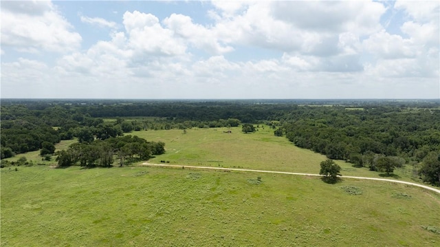 226ACRESLOCATEDON Lcr 725, Kosse, TX 76653 - photo 10