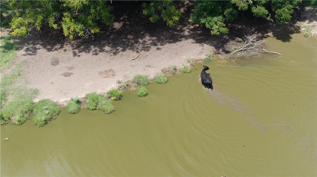 226ACRESLOCATEDON Lcr 725, Kosse, TX 76653 - photo 17