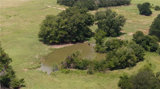 226ACRESLOCATEDON Lcr 725, Kosse, TX 76653 - photo 16