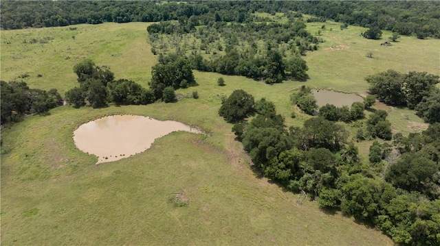 226ACRESLOCATEDON Lcr 725, Kosse, TX 76653 - photo 14