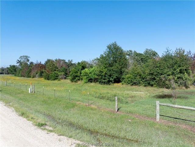 Listing photo 2 for TBD County Road 168, Iola TX 77861