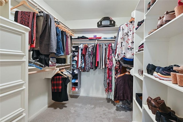 walk in closet featuring carpet