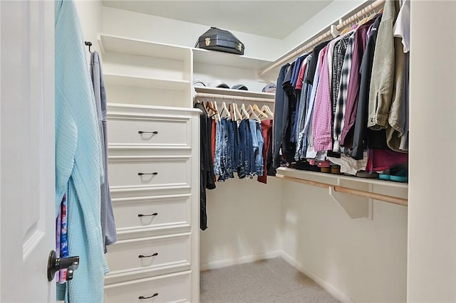 spacious closet featuring carpet floors