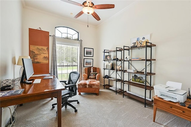 office featuring ceiling fan, carpet, and ornamental molding