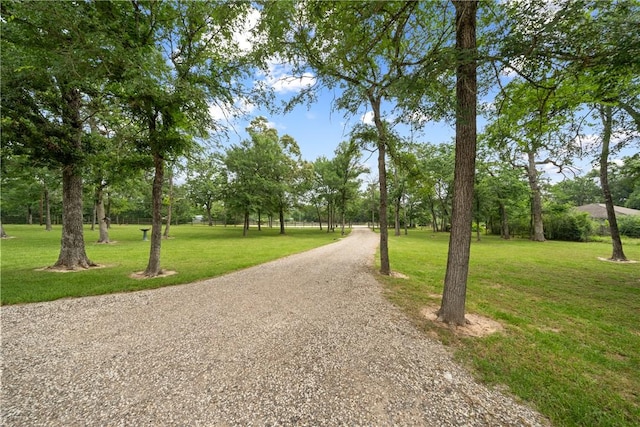 32041 Fm 1736th Rd, Hempstead, TX 77445 - view of property's community featuring a lawn