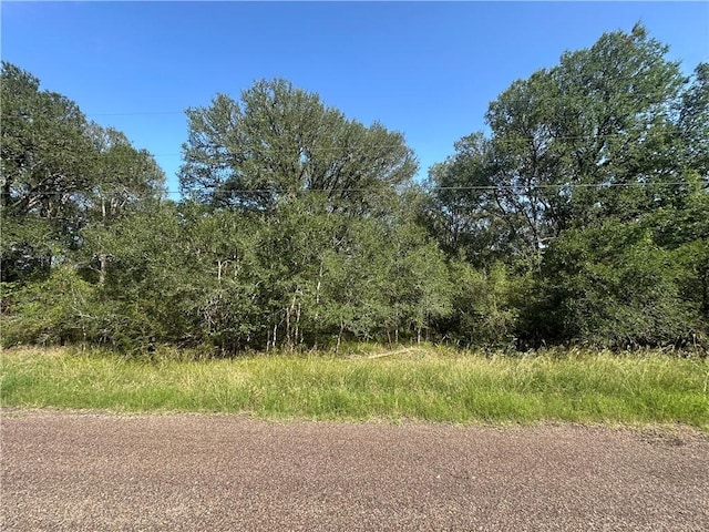 344AND362 Indian Ridge Dr, Somerville, TX 77879 - photo 7