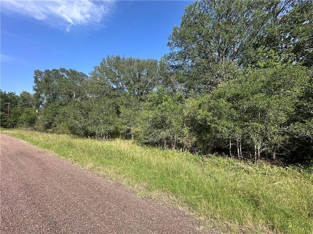 344AND362 Indian Ridge Dr, Somerville, TX 77879 - photo 1