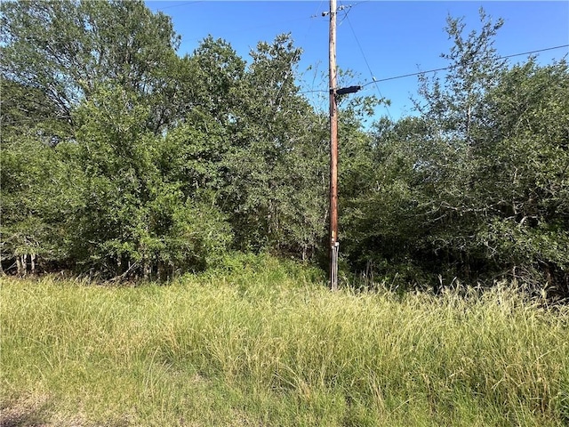344AND362 Indian Ridge Dr, Somerville, TX 77879 - photo 3