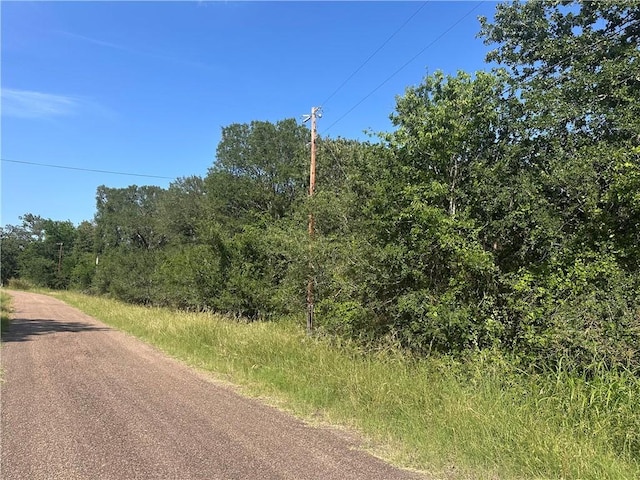 344AND362 Indian Ridge Dr, Somerville, TX 77879 - photo 2