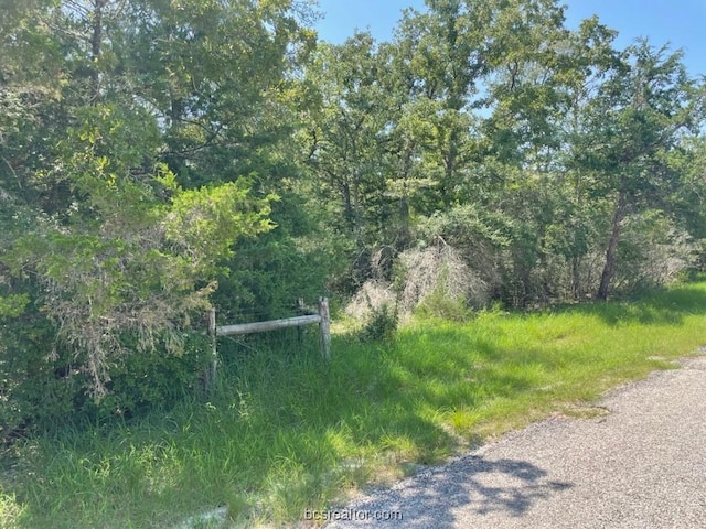 TBD Oak Forest Dr, Snook TX, 77879 land for sale