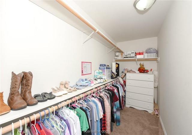 spacious closet featuring carpet floors