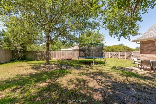 view of yard with a patio area and a trampoline