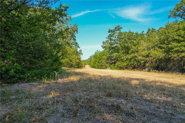 Listing photo 3 for TRACT5 Park Road 4, Somerville TX 77879