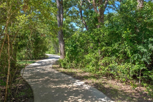 3540 Anderson Arbor Ct, College Station, TX 77845 - photo 15