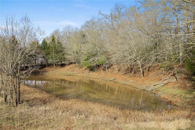 view of local wilderness featuring a water view