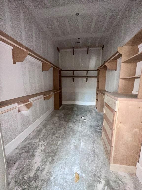 view of walk in closet