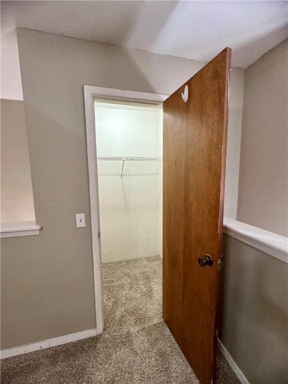 spacious closet with carpet floors