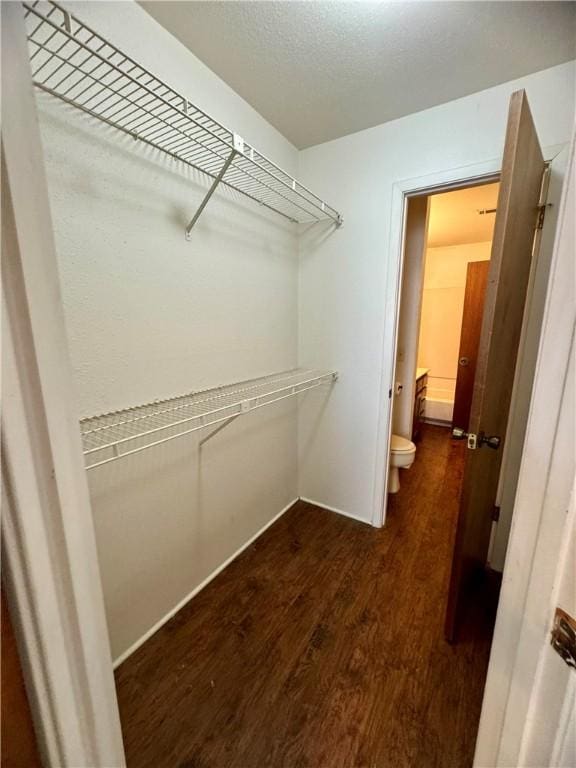 spacious closet featuring dark hardwood / wood-style flooring