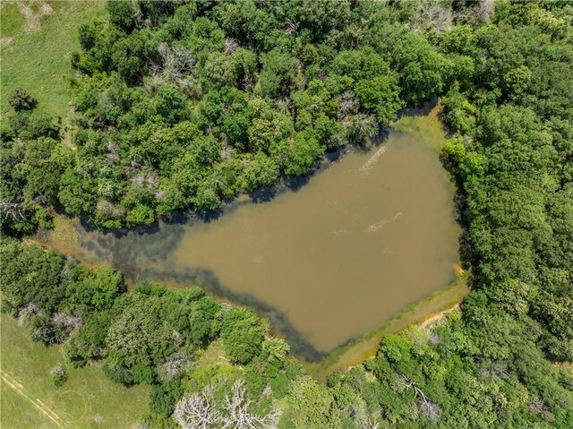 200.8AC Dawkins Rd, Normangee, TX 77871