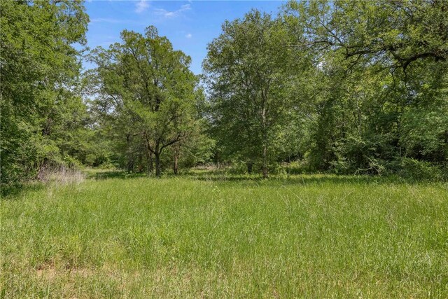 200.8AC Dawkins Rd, Normangee, TX 77871